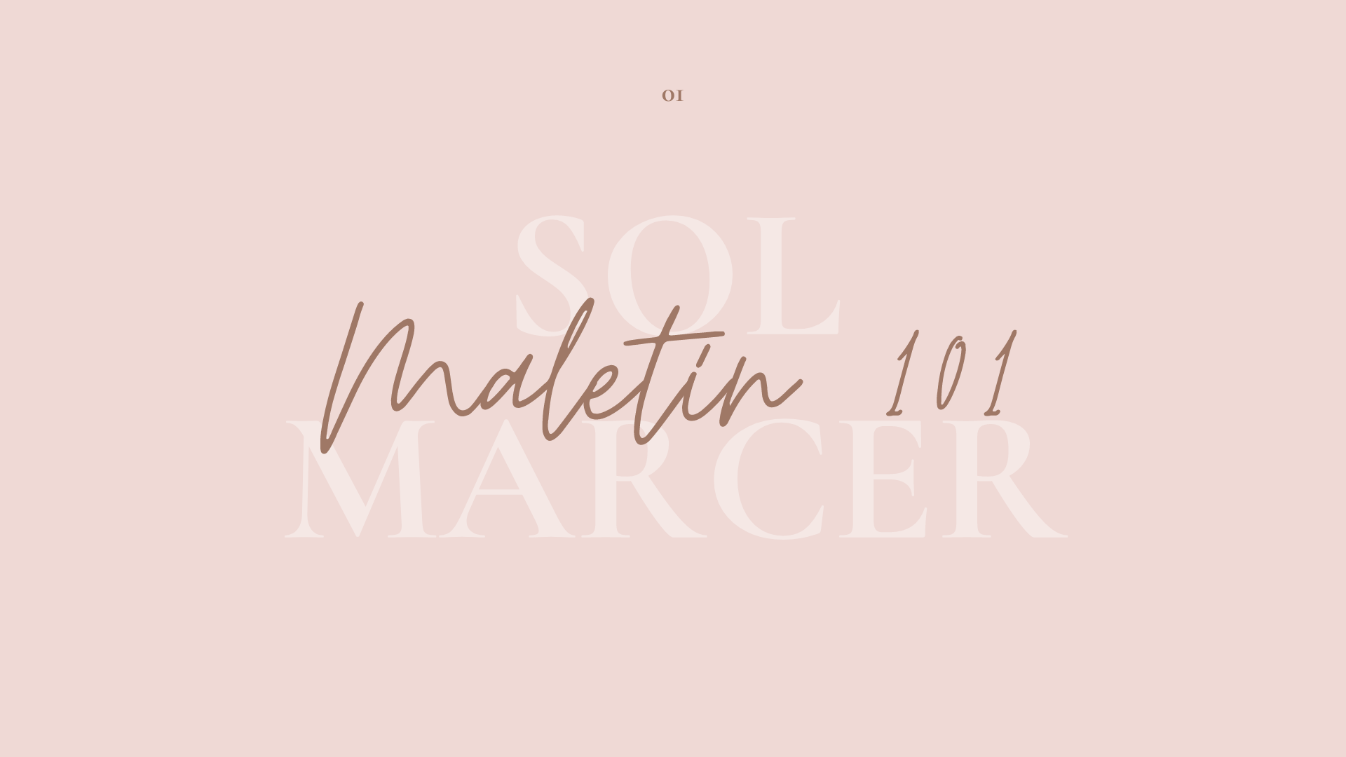 Maletín 101